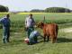 thumbnail 013 --6960.jpg