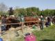 thumbnail 014 --6963.jpg