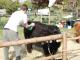 thumbnail 021 --6983.jpg