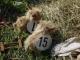 thumbnail 037 --7027.jpg