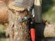thumbnail 039 --7031.jpg