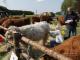 thumbnail 046 --7050.jpg