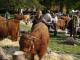 thumbnail 054 --7083.jpg