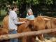 thumbnail 061 --7104.jpg