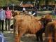 thumbnail 070 --7140.jpg