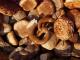 thumbnail 071 --7142.jpg