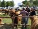 thumbnail 080 --7160.jpg
