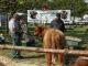 thumbnail 087 --7181.jpg