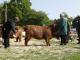 thumbnail 097 --7205.jpg