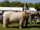 thumbnail 228 Bullen Klasse 1-1b-8-Moris vom Oakwood Field-Peter Jessat, Hopsten.jpg