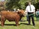 thumbnail 312 Bullen Klasse 2-1h-16-Sirius ut Sells-André Martens, Schiffdorf.jpg