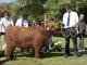 thumbnail 787 Färsen Klasse 13-1d-89-Asja of Hof Husmann-Bernhard Husmann, Lienen.jpg