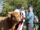 thumbnail 887 Sieger Färsen 1a-100-Becky vom Fläminghof-Falko Schlüter, Blönsdorf.jpg