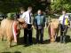 thumbnail 922 Sieger 2011.jpg