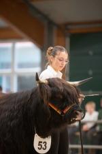 thumbnail DSC0074.jpg