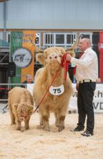 thumbnail DSC0264.jpg