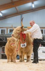 thumbnail DSC0265.jpg