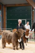 thumbnail DSC9543.jpg