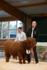 thumbnail DSC9546.jpg