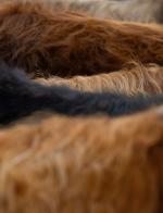 thumbnail DSC9564.jpg