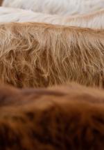 thumbnail DSC9602.jpg