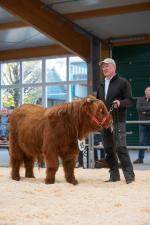 thumbnail DSC9637.jpg