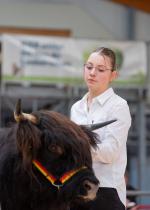 thumbnail DSC9754.jpg