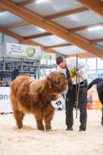 thumbnail DSC9809.jpg