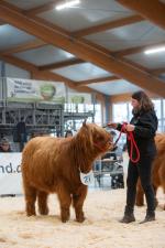 thumbnail DSC9842.jpg