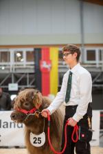 thumbnail DSC9849.jpg