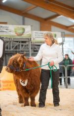 thumbnail DSC9851.jpg