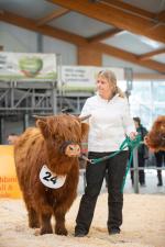 thumbnail DSC9853.jpg